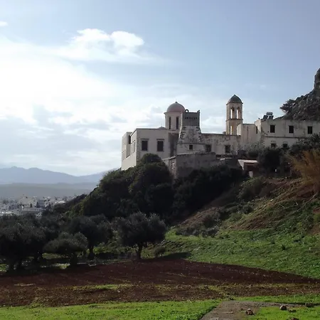 Ammoutsiani Cozy 1 By 8essentially *