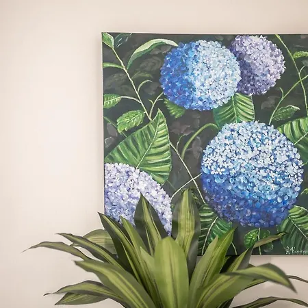 Ammoutsiani Cozy 1 By 8essentially アパート *