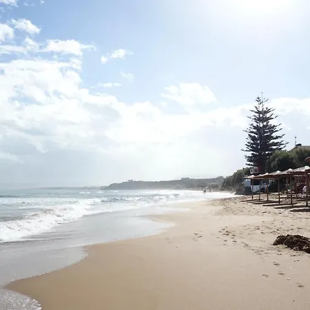 Ammoutsiani Cozy 1 By 8essentially ハニア